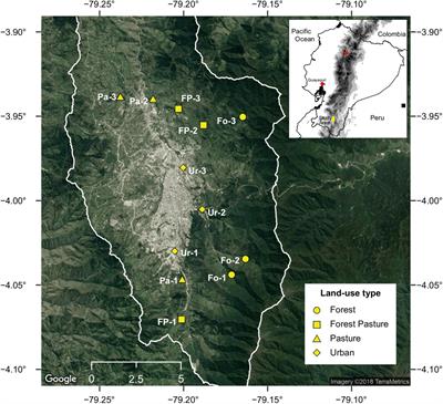 The Good, the Bad, and the Ugly of Urbanization: Response of a Bird Community in the Neotropical Andes